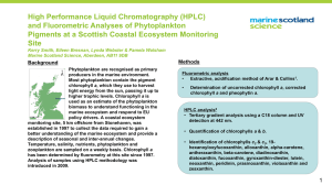 HPLC and fluorometric analyses of phytoplankton