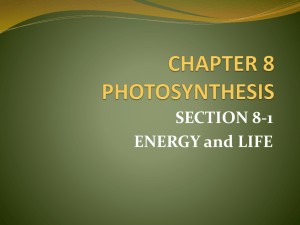 Chapter 8 Photosynthesis PTHS