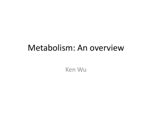 Ken Wu`s Metabolism Tutorial Dec 2012
