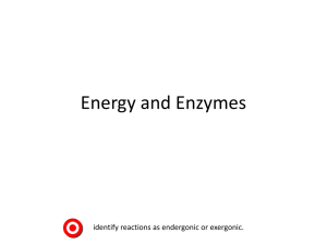 Energy and Enzymes