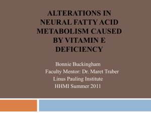 Alterations in Neural Fatty Acid Metabolism caused by Vitamin E
