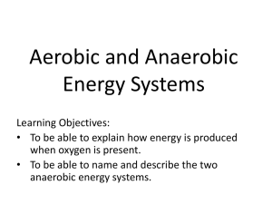 Aerobic and Anaerobic Energy Systems
