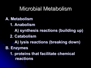 Microbial Metabolism PowerPoint