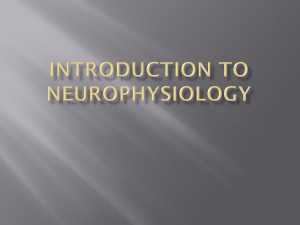 Introduction to Neurophysiology
