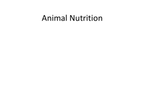 Animal Nutrition - NAAE Communities of Practice