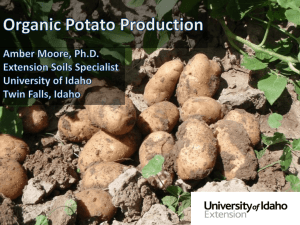 Moore_Organic Potato Production 2014