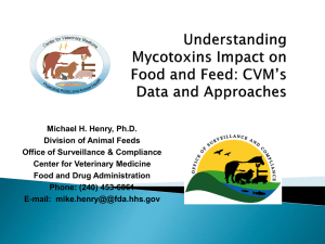 Mycotoxins in Animal Feeds: CVM*s Perspectives