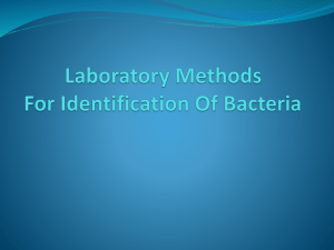 5-_Diagnostic_Microbiology
