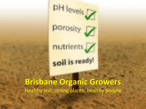 Brisbane-Organic-Growers-Pictures