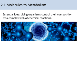 2.1 Molecules to metabolim
