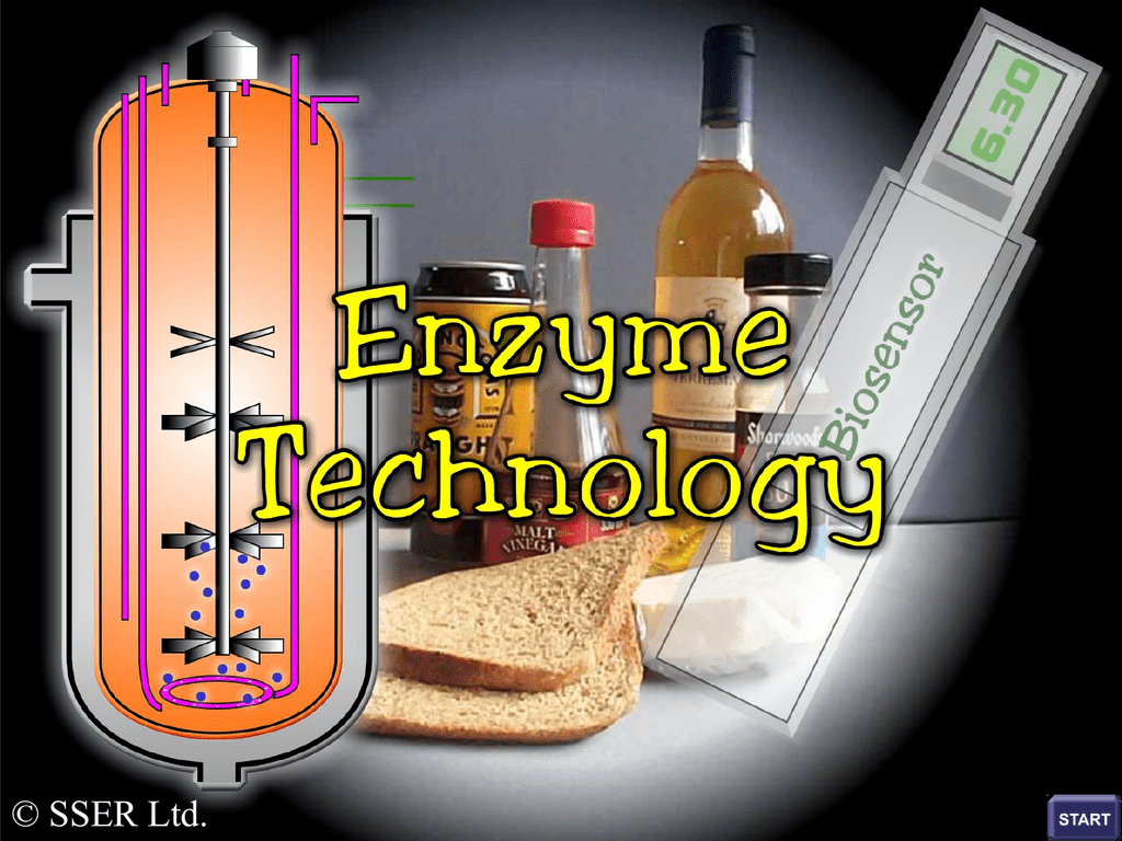 enzymetechnology-ppt