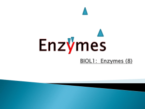 Enzymes - Coleg y Cymoedd Moodle