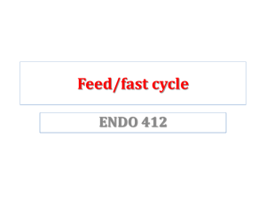 fed fast cycle