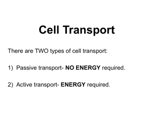 Cell transport ppt. - student notes