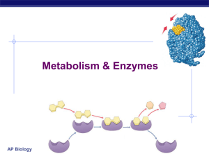 Enzymes 2013