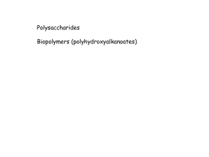 8. Polysaccharides