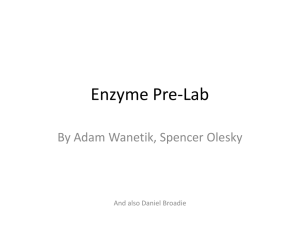 Enzyme Pre-Lab