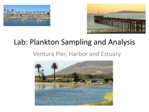 Lab: Plankton Sampling and Analysis