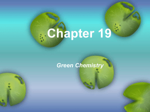 Chapter 19