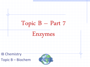 B7 Enzymes