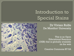 PowerPoint slides introducing special stains