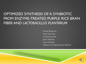 Synbiotic Supplement Midyear Presentation