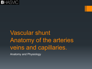 Vascular shunt mechanism