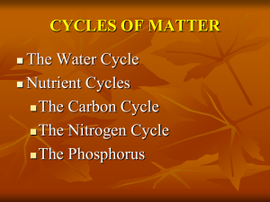 biogeochemical cycle