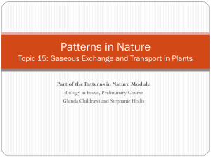 Gaseous Exchange and Transport in Plants
