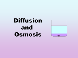 Diffusion and Osmosis.ppt - Cardinal Newman High School