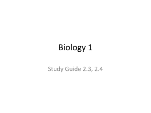 Study guide 2.3, 2.4