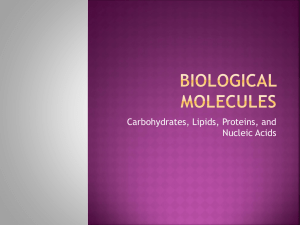 Biological Molecules - Princeton High School