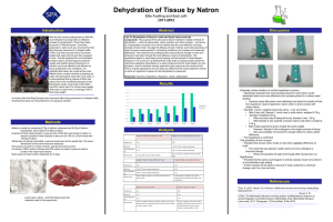 Scientific poster example - SPA