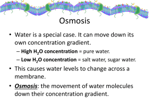 Osmosis