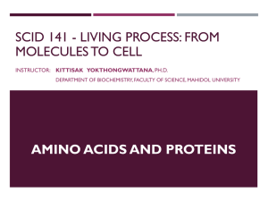 Amino acid & protein