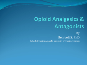 Opioid Analgesics & Antagonists