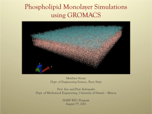 Phospholipid Monolayer Simulations using GROMACS
