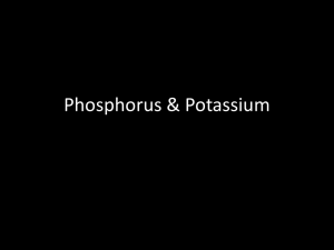 Phosphorus