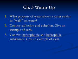 Chapter 3 - Water + pH