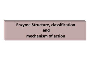 Enzyme Structure, Classification and Mechanism of Action Lecture
