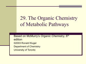 Chapter 29 The Organic Chemistry of Metabolic Pathways