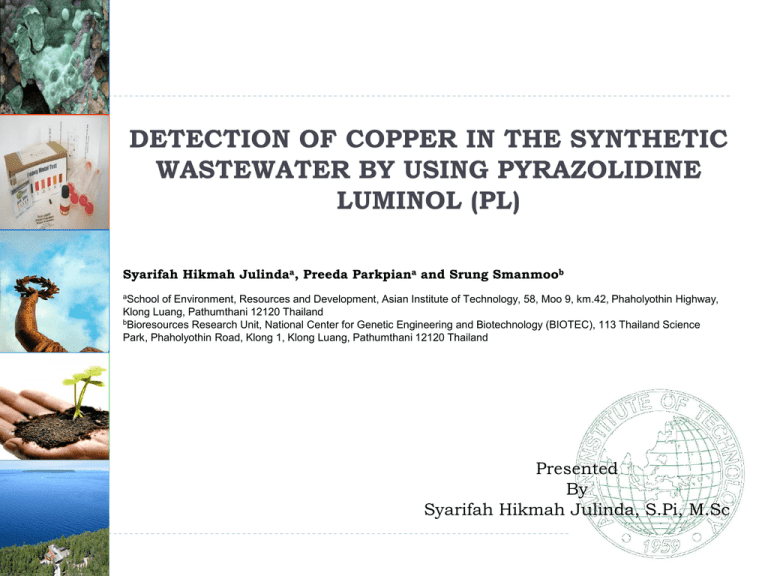 Detection limit of PL sensor