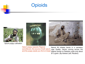 PHARM4515-15 (Opioids)