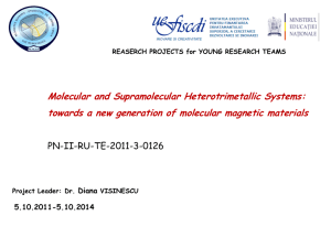 towards a new generation of molecular magnetic materials