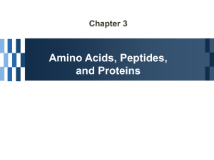 Classification of Amino Acids