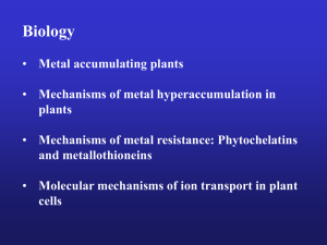Phytoremediation of metals