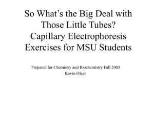 PowerPoint Presentation - Capillary Electrophoresis