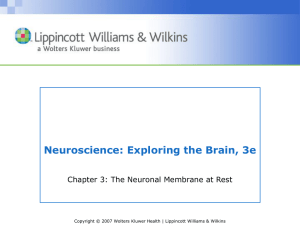 Chapter 03: The Neuronal Membrane at Rest