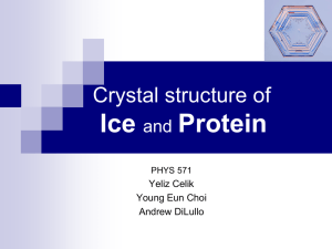Crystal structure of ICE and Protein