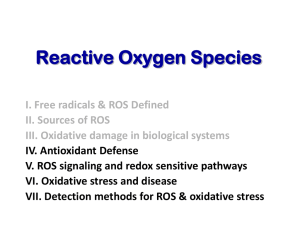 Reactive Oxygen Species I. Free radicals & ROS Defined II. Sources